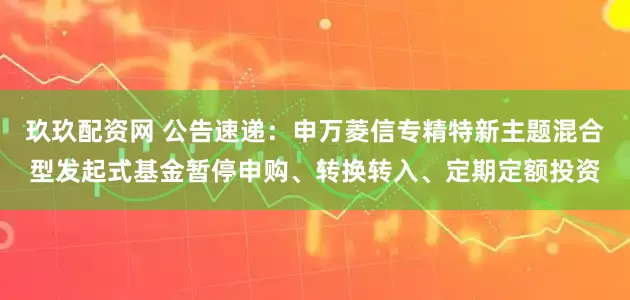 玖玖配资网 公告速递：申万菱信专精特新主题混合型发起式基金暂停申购、转换转入、定期定额投资