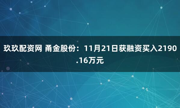 玖玖配资网 甬金股份:11月21日获融资买入2190.16万元